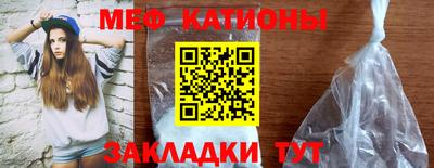 индика Долгопрудный